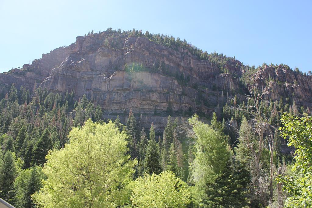 Black Bear Manor Ouray Zewnętrze zdjęcie